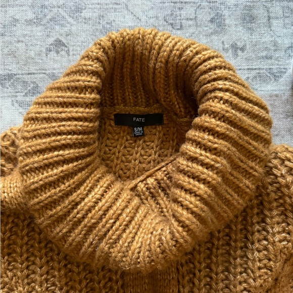 Vici Knit Turtleneck Sweater - Picture 4 of 5